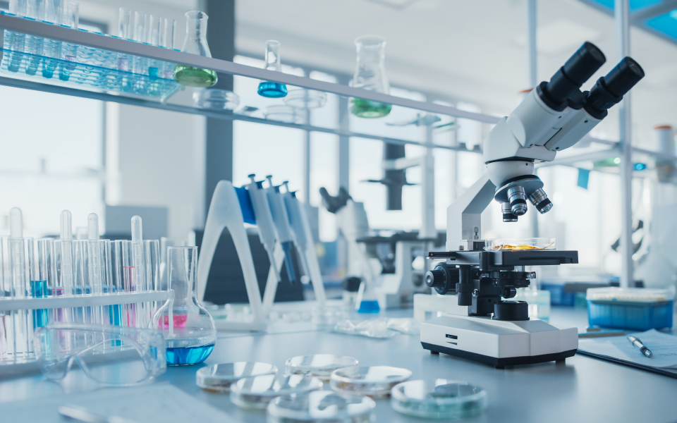 Good Laboratory Practice (GLP): Key Considerations & Validation Insights